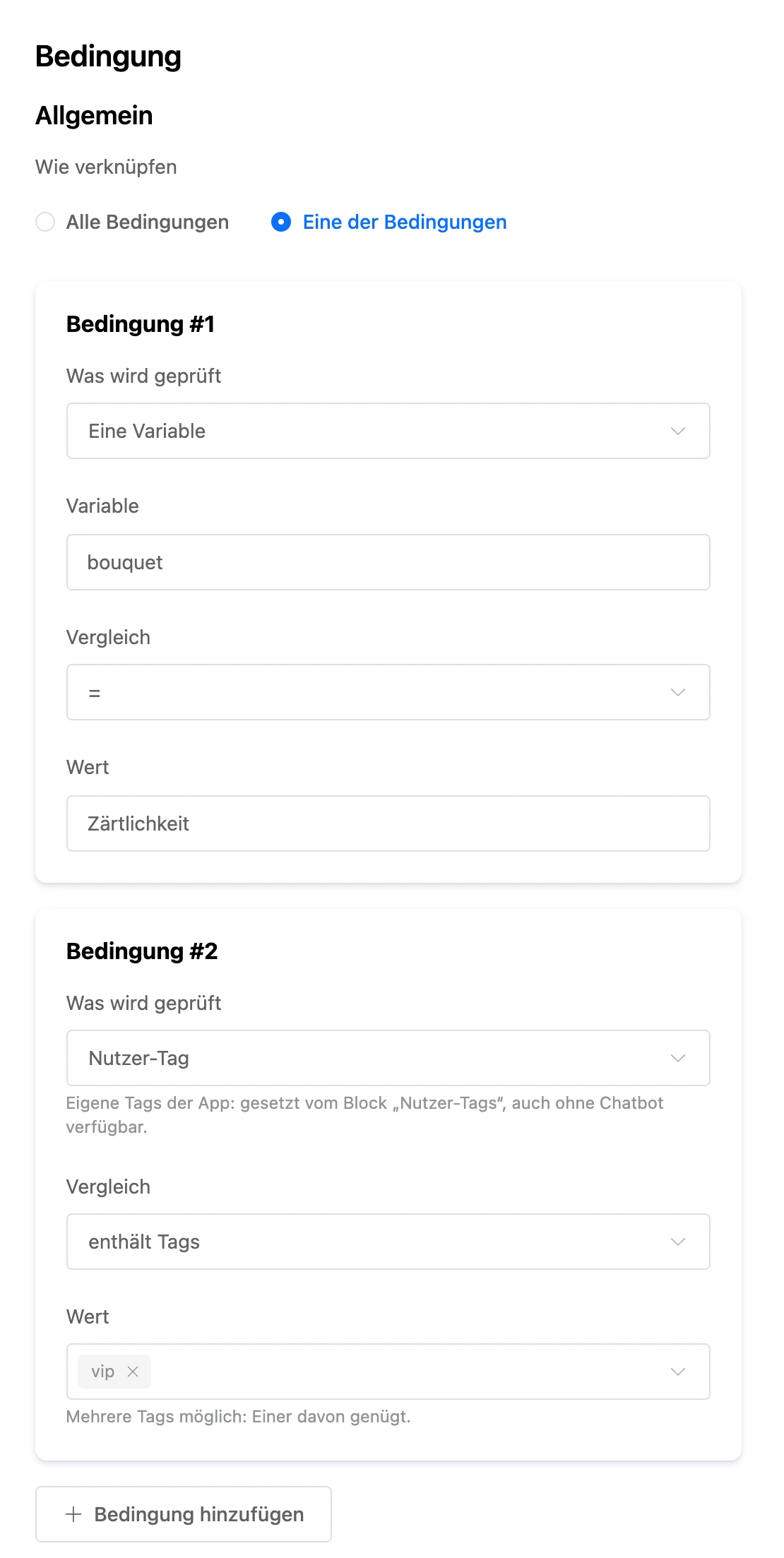 Einstellungen des Blocks „Bedingung“: Variable und Benutzer-Tag