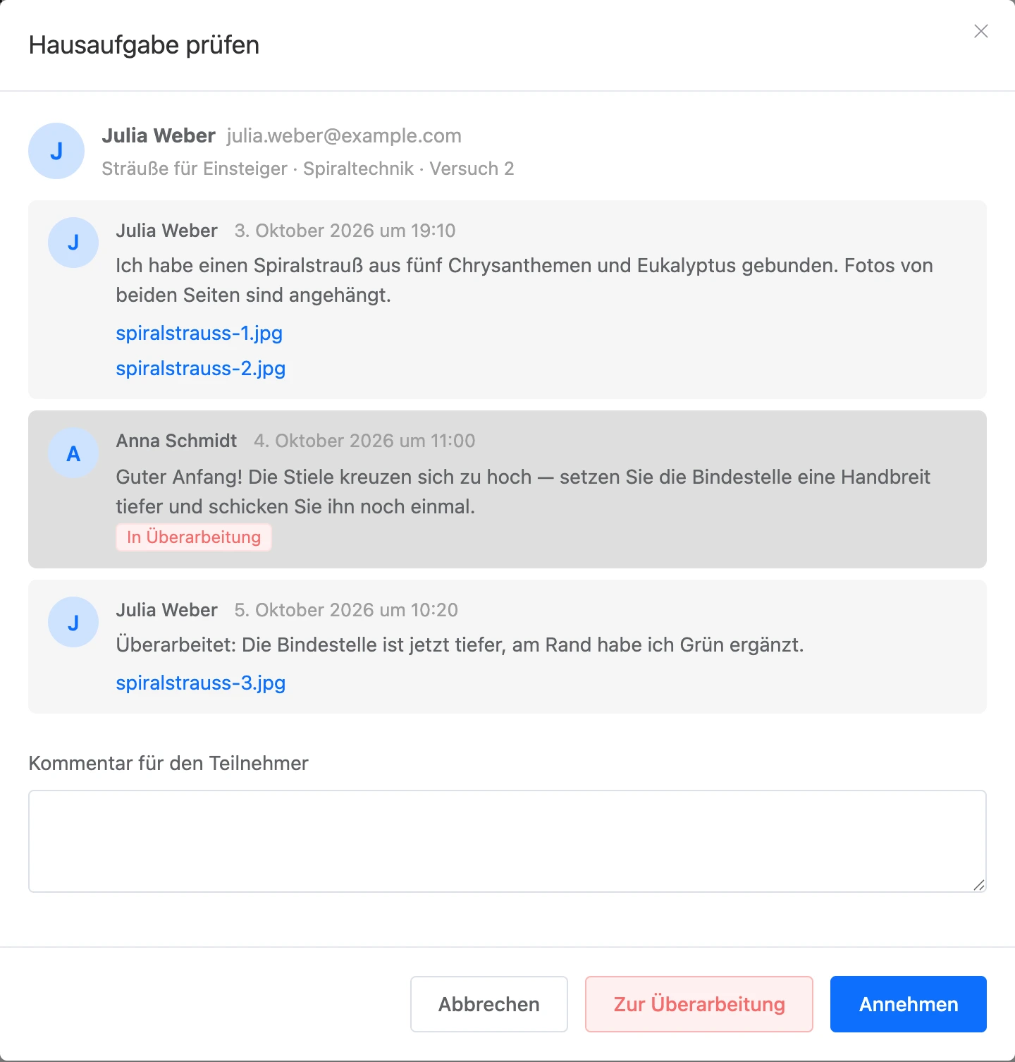 Fenster zur Prüfung einer Aufgabe mit dem Verlauf zwischen Lernender und Kuratorin