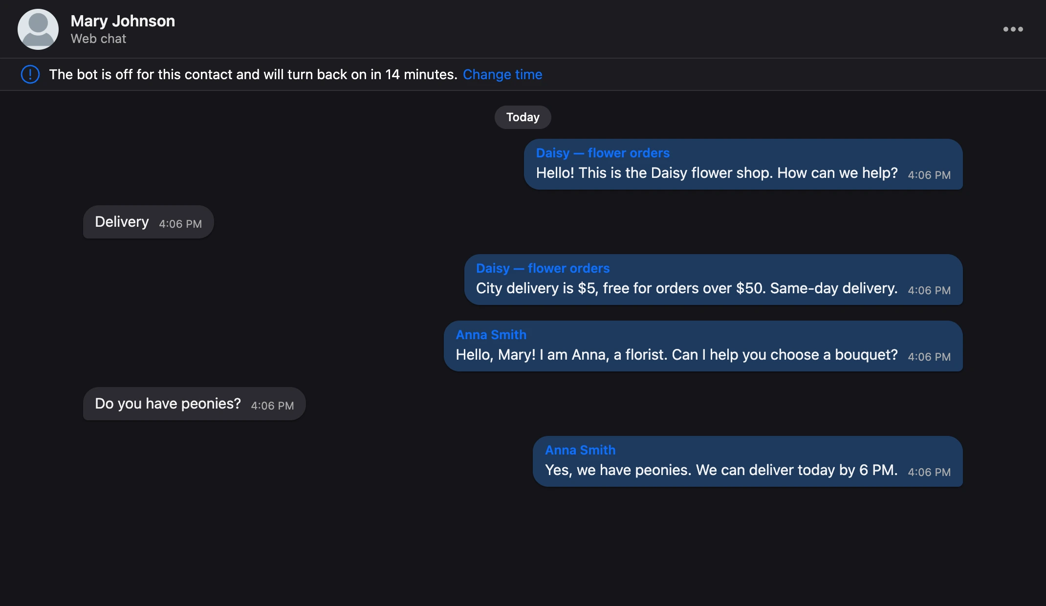 Conversation as bubbles: the person's messages on the left, replies from the bot and a team member on the right