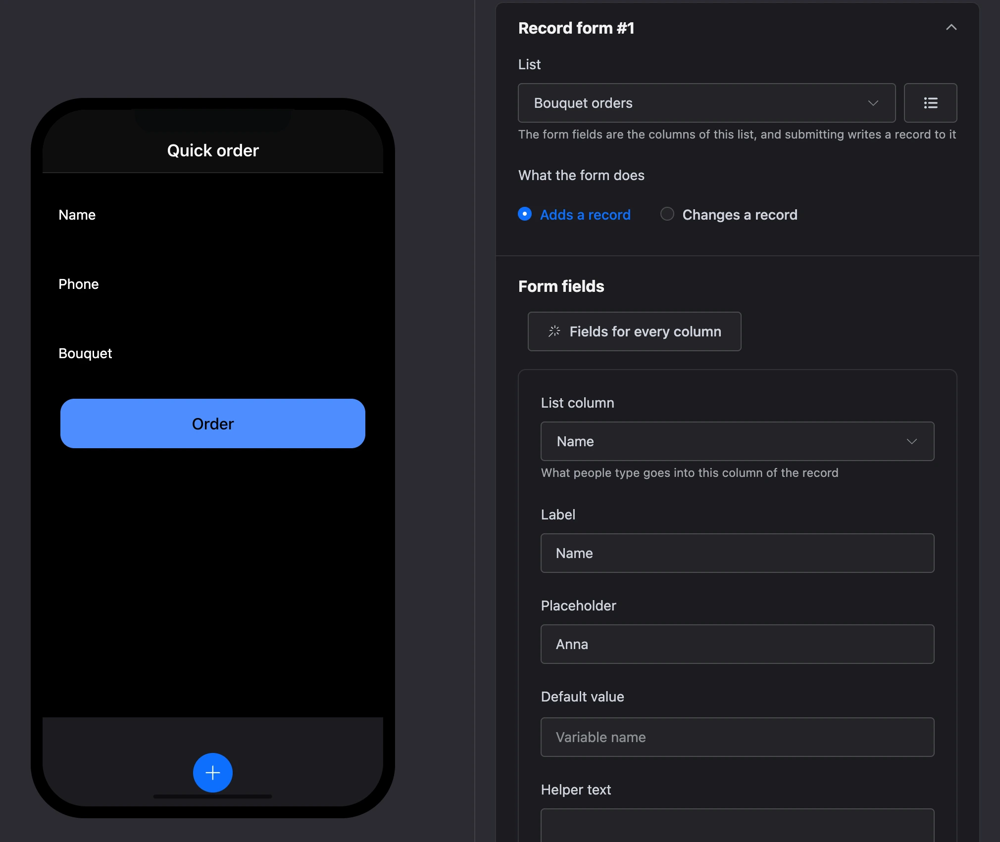 Record form element: list and form fields