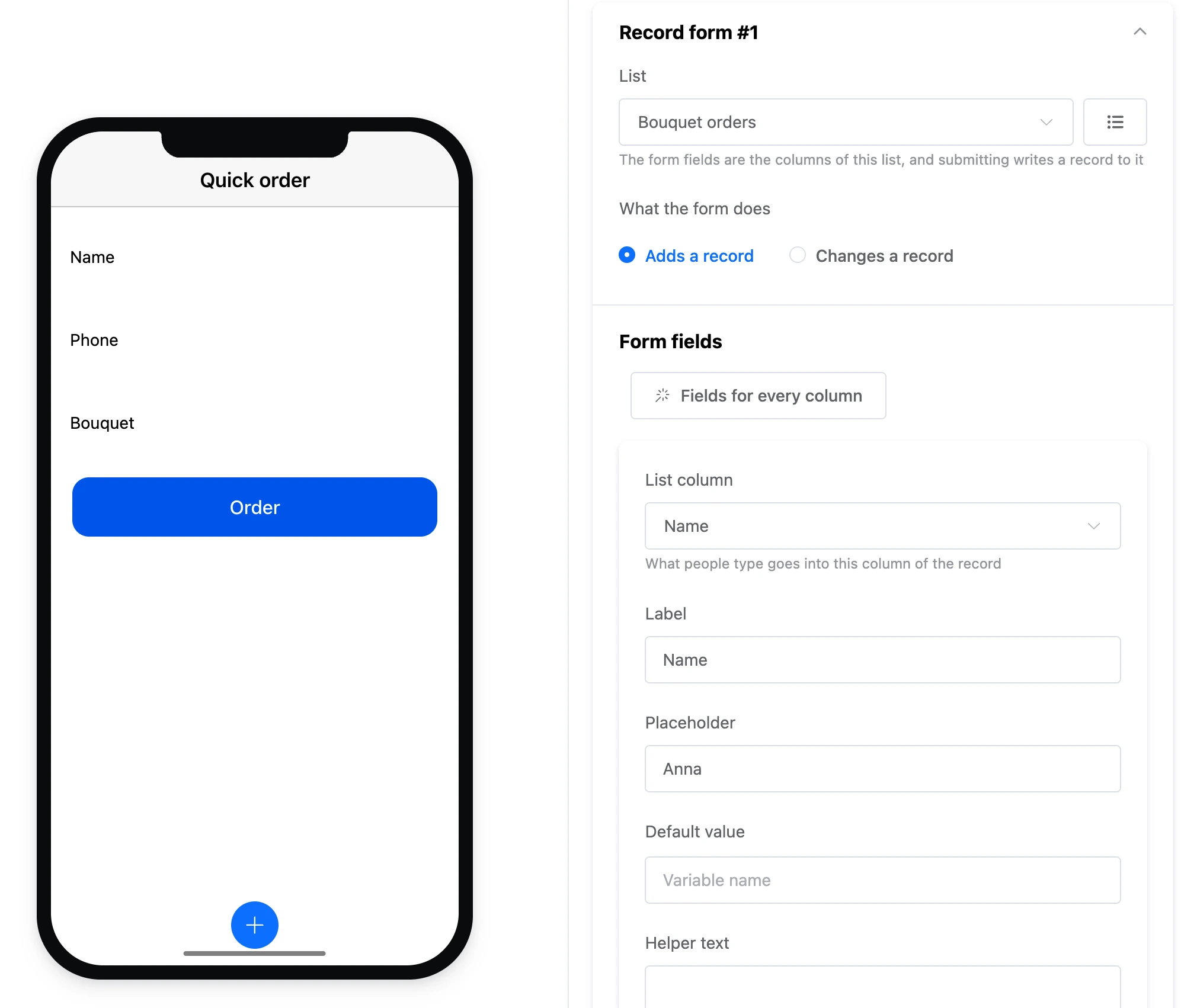 Record form element: list and form fields