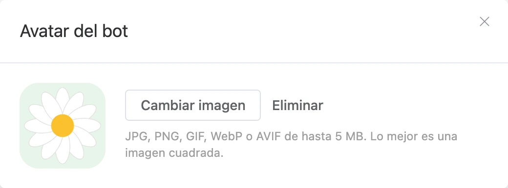 La ventana del avatar del bot: la imagen con los botones Cambiar imagen y Eliminar