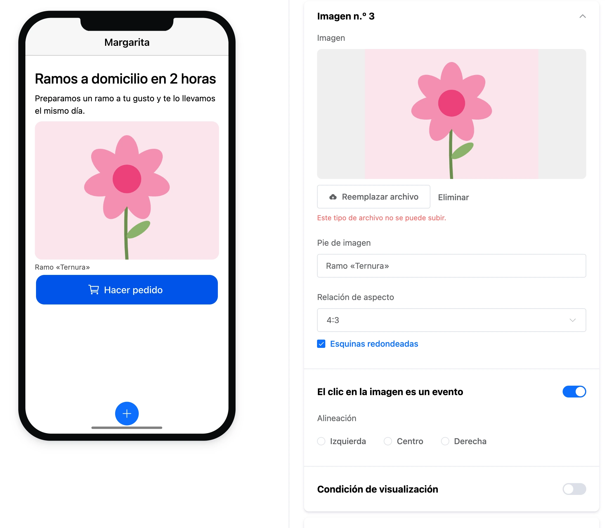 El campo «Imagen» tras intentar subir un SVG: «Este tipo de archivo no se puede subir.»