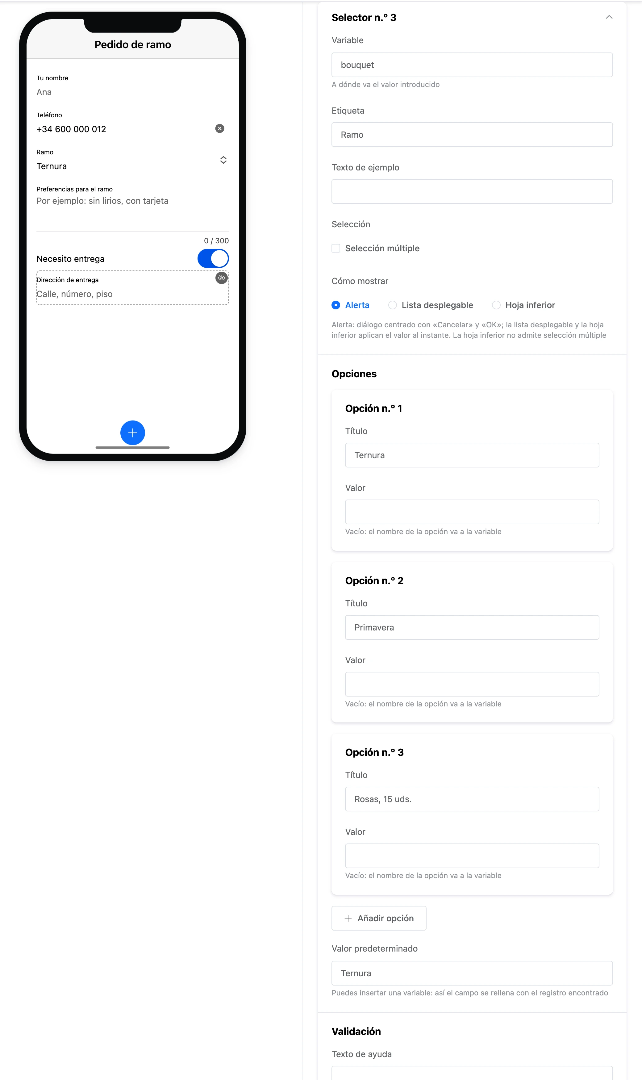 El elemento «Selector»: el campo «Ramo» en la pantalla y las opciones en la configuración