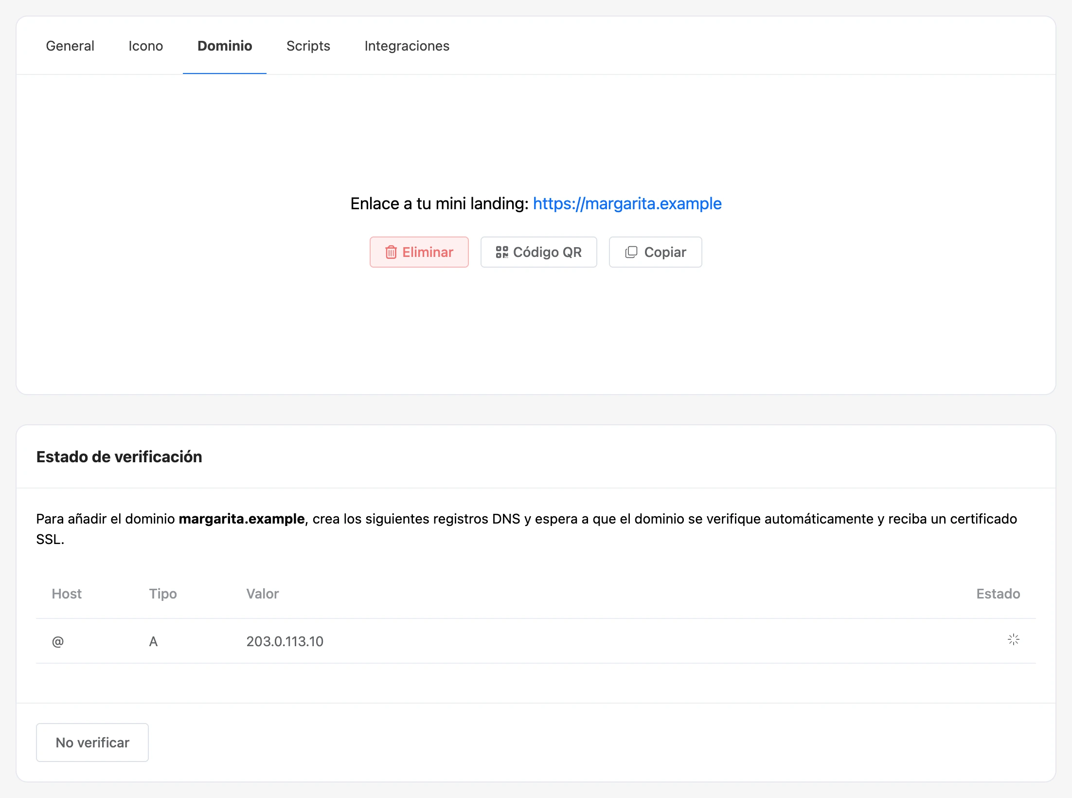 Dominio añadido: estado de verificación y el registro DNS