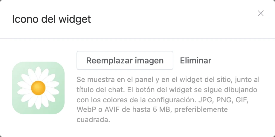 La ventana «Icono del widget»: el icono subido y una indicación de dónde se muestra