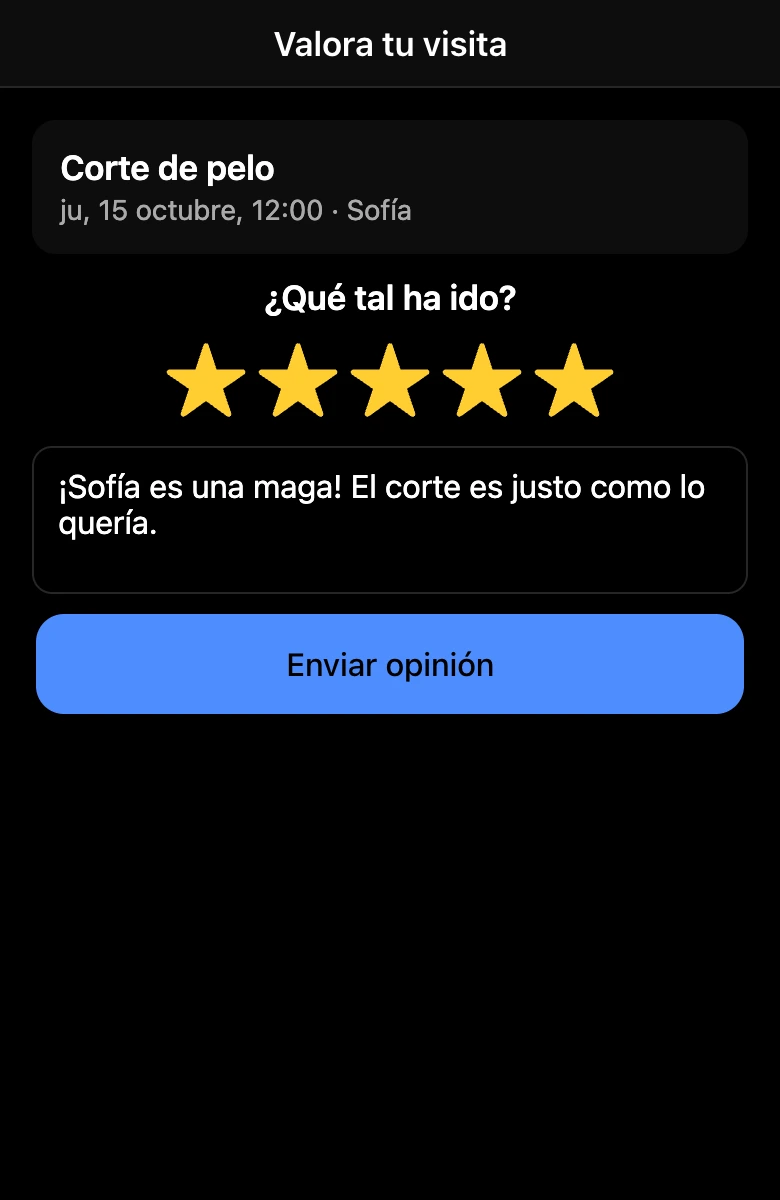 Valoración de la visita: estrellas y un comentario