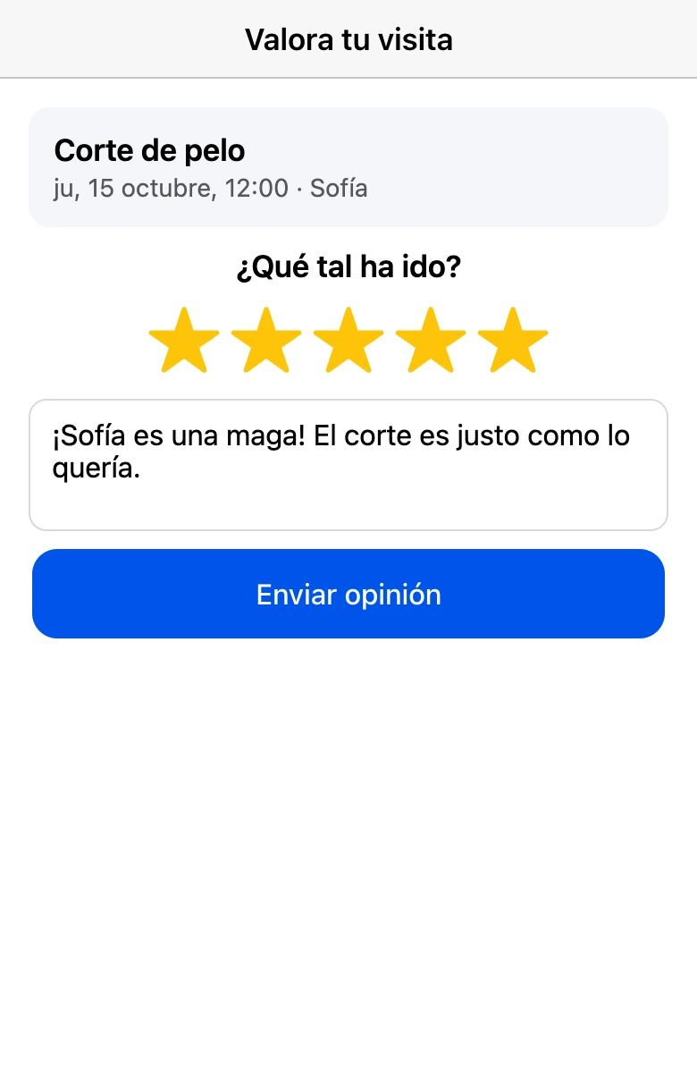 Valoración de la visita: estrellas y un comentario