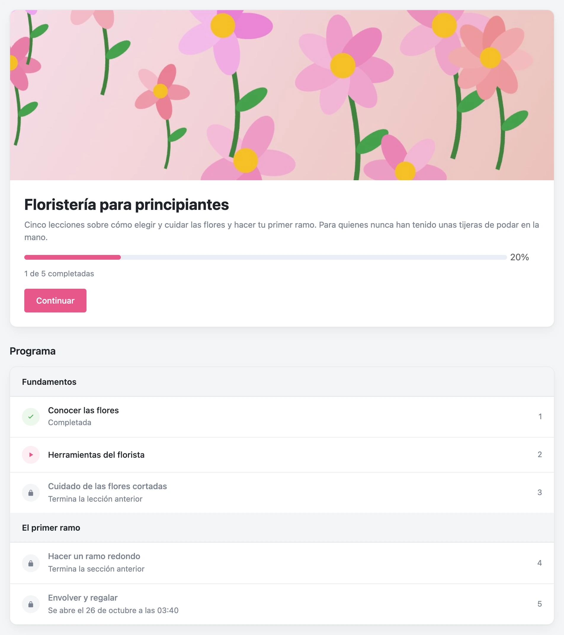 Página del curso: progreso y programa con lecciones completadas y bloqueadas